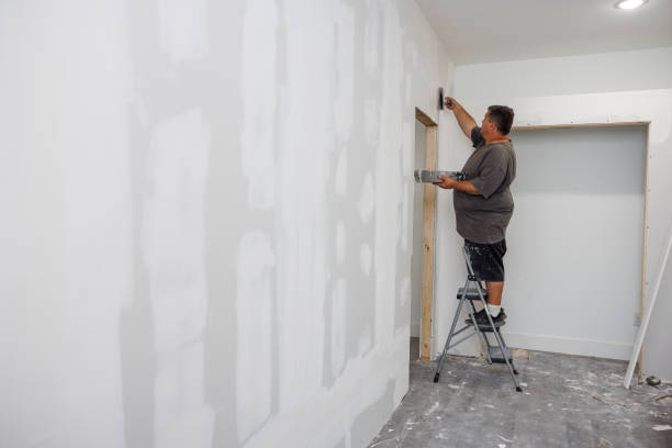 Best Interior Painting  in North Mankato, MN